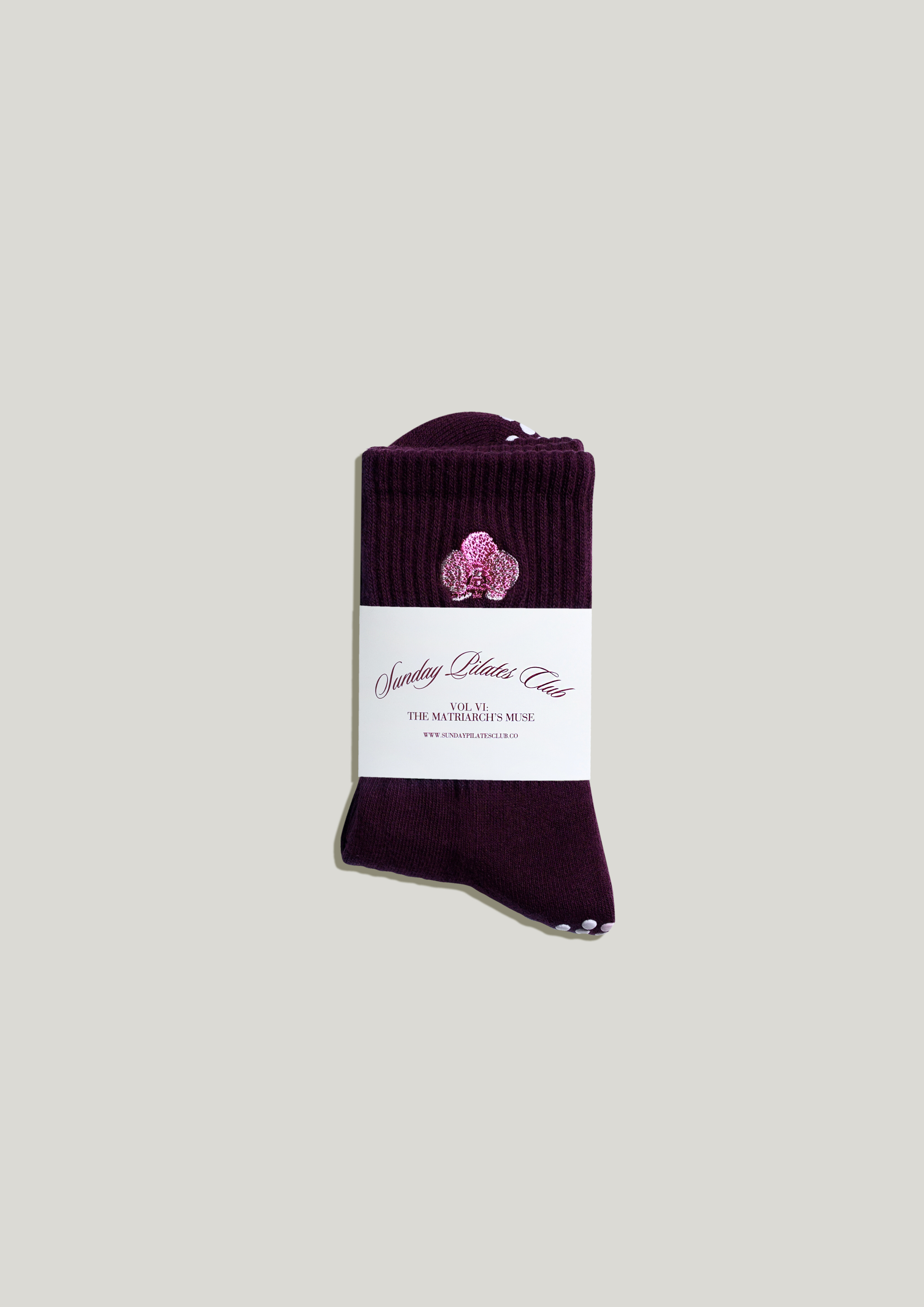 Pilates Grip Socks in Plum